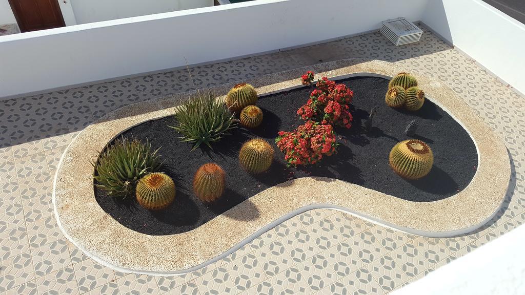 Panelo Cactus Apartment Puerto del Carmen  Eksteriør bilde
